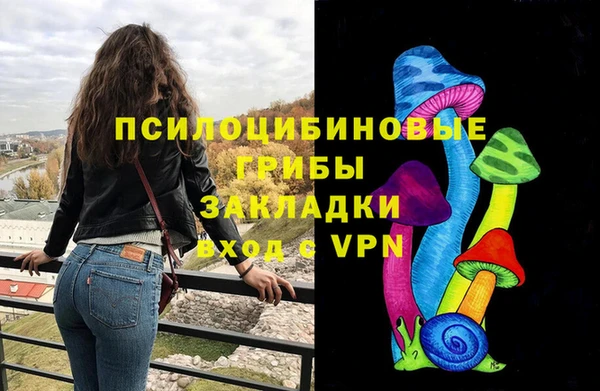 прущие крисы Белокуриха