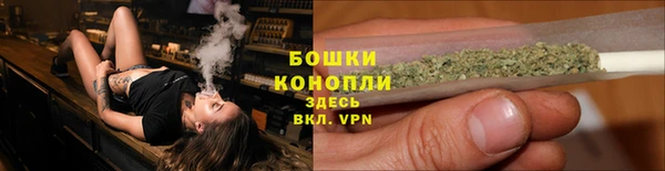 прущие крисы Белокуриха