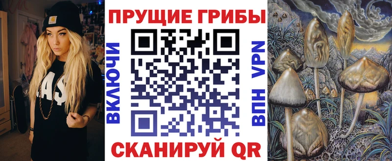 блэк спрут зеркало  Верхняя Тура  Псилоцибиновые грибы мухоморы 
