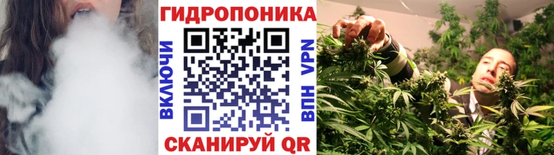 мориарти официальный сайт хочу наркоту Верхняя Тура Конопля LSD WEED